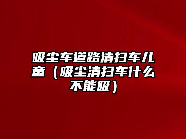 吸塵車道路清掃車兒童（吸塵清掃車什么不能吸）