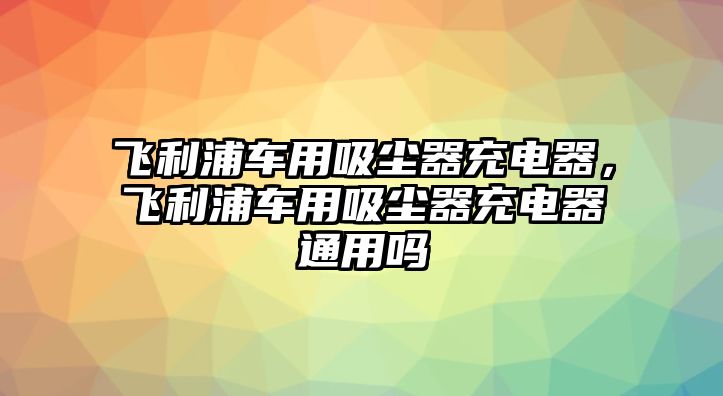 飛利浦車用吸塵器充電器，飛利浦車用吸塵器充電器通用嗎