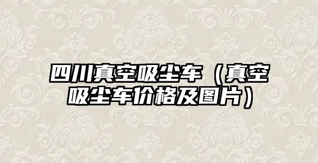 四川真空吸塵車（真空吸塵車價格及圖片）
