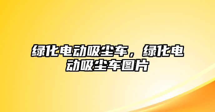 綠化電動吸塵車，綠化電動吸塵車圖片