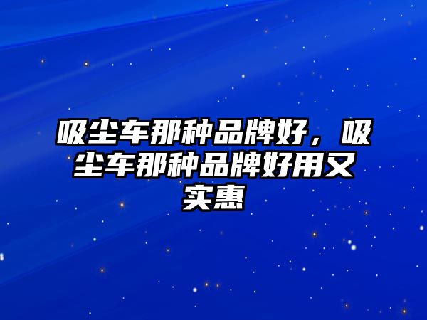 吸塵車那種品牌好，吸塵車那種品牌好用又實(shí)惠