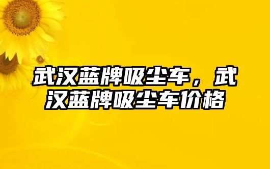 武漢藍牌吸塵車，武漢藍牌吸塵車價格