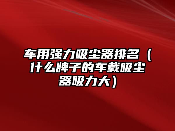 車用強力吸塵器排名（什么牌子的車載吸塵器吸力大）