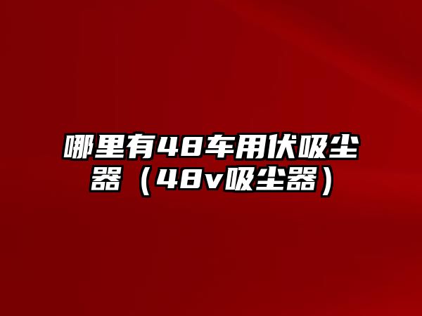 哪里有48車用伏吸塵器（48v吸塵器）