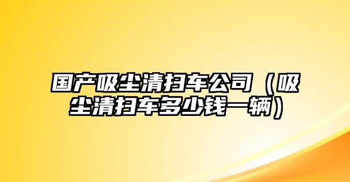 國產吸塵清掃車公司（吸塵清掃車多少錢一輛）