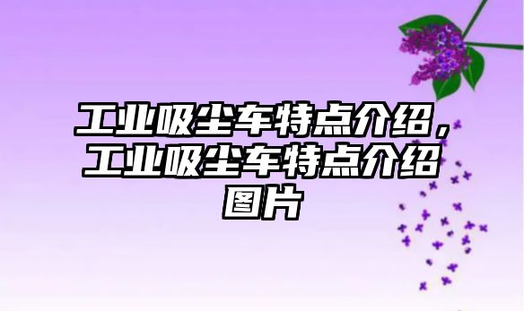 工業吸塵車特點介紹，工業吸塵車特點介紹圖片