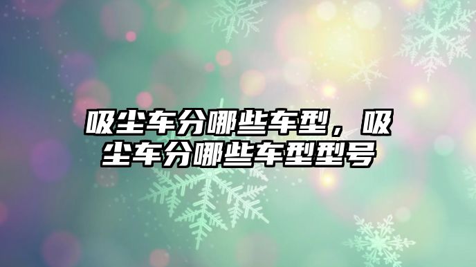 吸塵車分哪些車型，吸塵車分哪些車型型號