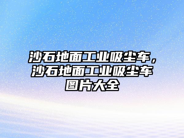 沙石地面工業吸塵車，沙石地面工業吸塵車圖片大全