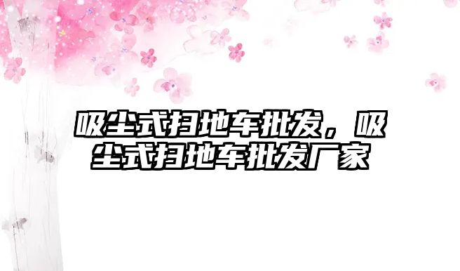 吸塵式掃地車批發(fā)，吸塵式掃地車批發(fā)廠家