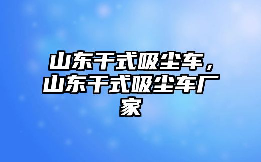 山東干式吸塵車，山東干式吸塵車廠家