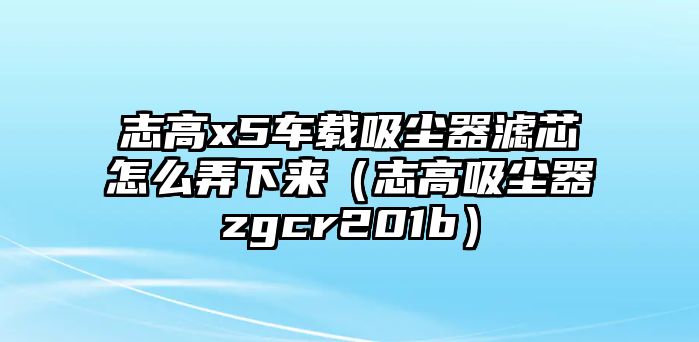 志高x5車載吸塵器濾芯怎么弄下來（志高吸塵器zgcr201b）