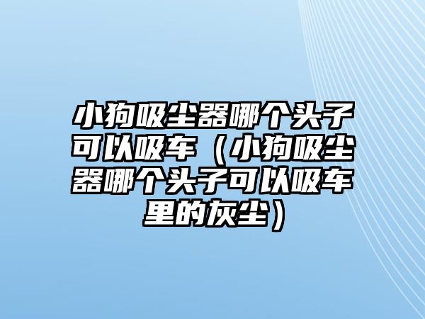 小狗吸塵器哪個(gè)頭子可以吸車（小狗吸塵器哪個(gè)頭子可以吸車?yán)锏幕覊m）