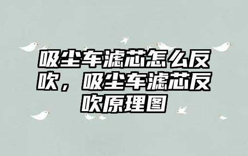 吸塵車濾芯怎么反吹，吸塵車濾芯反吹原理圖