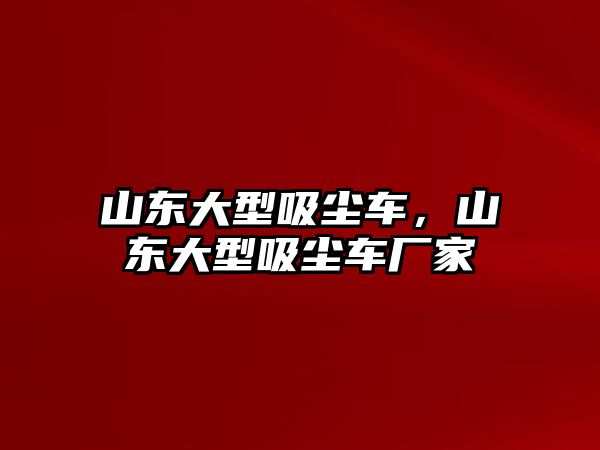 山東大型吸塵車，山東大型吸塵車廠家