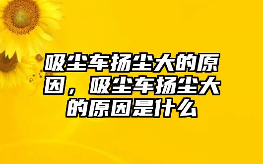 吸塵車揚塵大的原因，吸塵車揚塵大的原因是什么