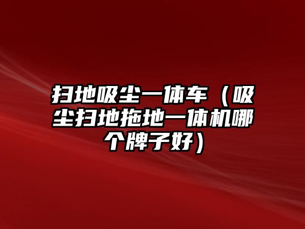 掃地吸塵一體車（吸塵掃地拖地一體機(jī)哪個(gè)牌子好）