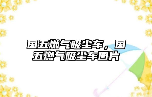 國五燃?xì)馕鼔m車，國五燃?xì)馕鼔m車圖片