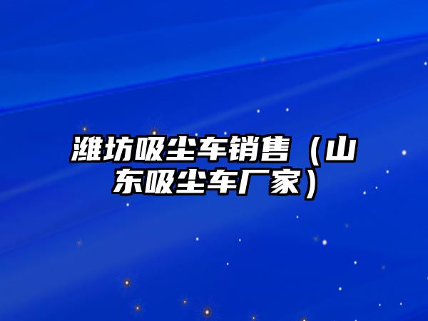 濰坊吸塵車銷售（山東吸塵車廠家）