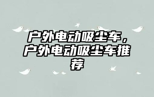 戶外電動吸塵車，戶外電動吸塵車推薦