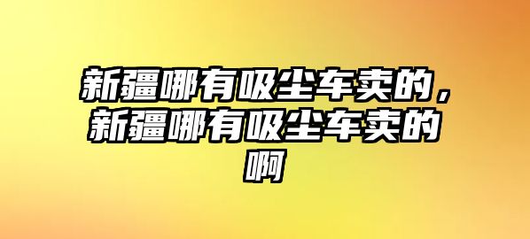 新疆哪有吸塵車賣的，新疆哪有吸塵車賣的啊