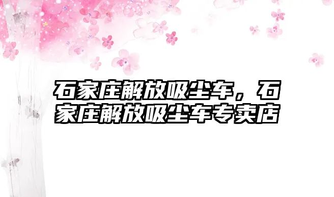 石家莊解放吸塵車，石家莊解放吸塵車專賣店