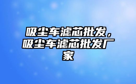 吸塵車濾芯批發，吸塵車濾芯批發廠家