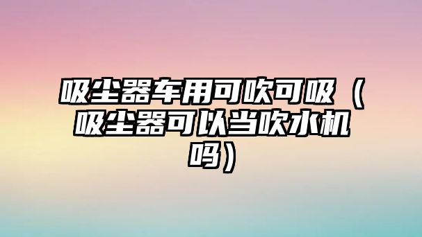 吸塵器車用可吹可吸（吸塵器可以當吹水機嗎）