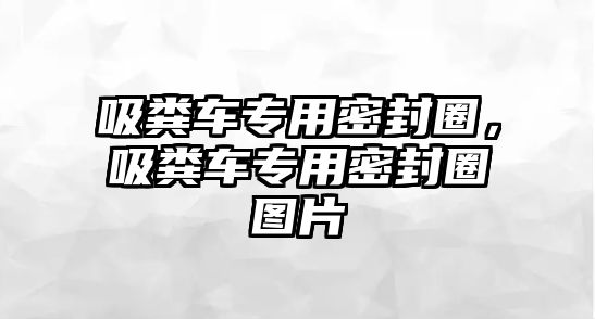 吸糞車專用密封圈，吸糞車專用密封圈圖片