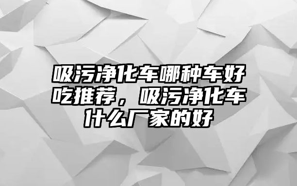 吸污凈化車哪種車好吃推薦，吸污凈化車什么廠家的好