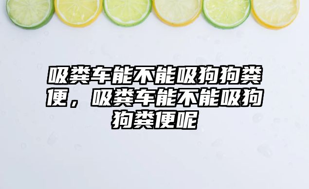 吸糞車能不能吸狗狗糞便，吸糞車能不能吸狗狗糞便呢