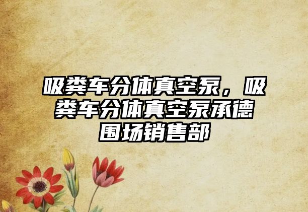 吸糞車分體真空泵，吸糞車分體真空泵承德圍場銷售部