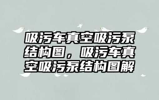 吸污車真空吸污泵結構圖，吸污車真空吸污泵結構圖解