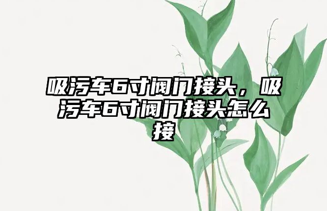 吸污車6寸閥門接頭，吸污車6寸閥門接頭怎么接