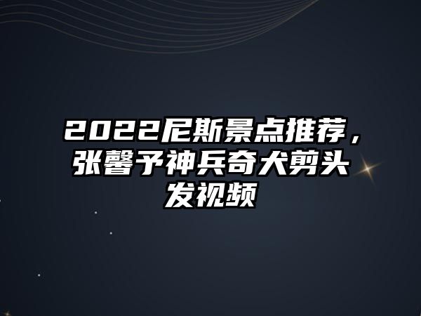 2022尼斯景點推薦，張馨予神兵奇犬剪頭發視頻