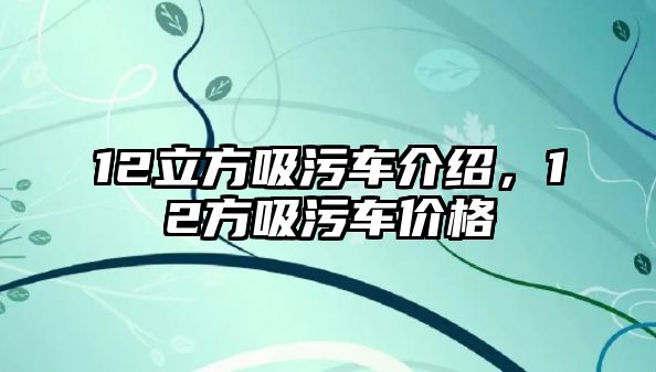 12立方吸污車介紹，12方吸污車價格