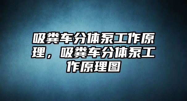 吸糞車分體泵工作原理，吸糞車分體泵工作原理圖