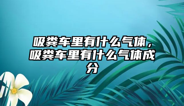 吸糞車?yán)镉惺裁礆怏w，吸糞車?yán)镉惺裁礆怏w成分