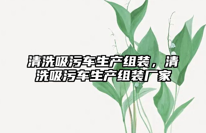 清洗吸污車生產組裝，清洗吸污車生產組裝廠家