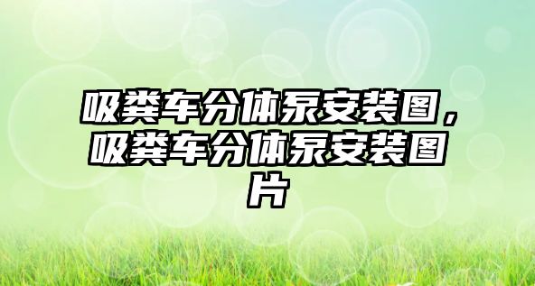 吸糞車分體泵安裝圖，吸糞車分體泵安裝圖片