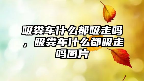 吸糞車(chē)什么都吸走嗎，吸糞車(chē)什么都吸走嗎圖片