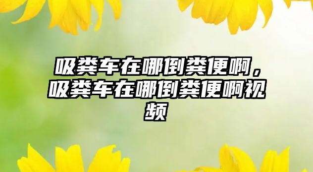 吸糞車在哪倒糞便啊，吸糞車在哪倒糞便啊視頻