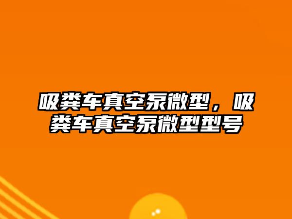 吸糞車真空泵微型，吸糞車真空泵微型型號