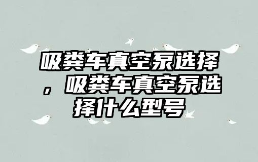 吸糞車真空泵選擇，吸糞車真空泵選擇什么型號