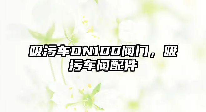 吸污車DN100閥門，吸污車閥配件