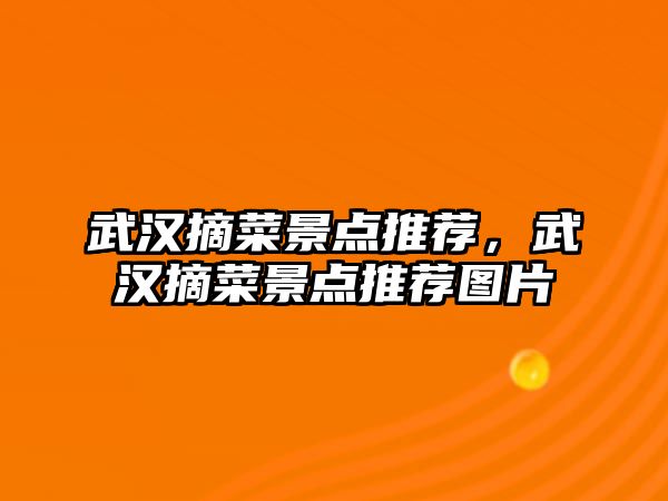 武漢摘菜景點推薦，武漢摘菜景點推薦圖片