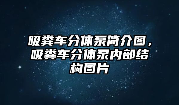 吸糞車分體泵簡介圖，吸糞車分體泵內部結構圖片