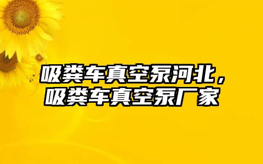 吸糞車真空泵河北，吸糞車真空泵廠家