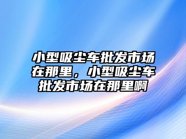 小型吸塵車批發市場在那里，小型吸塵車批發市場在那里啊