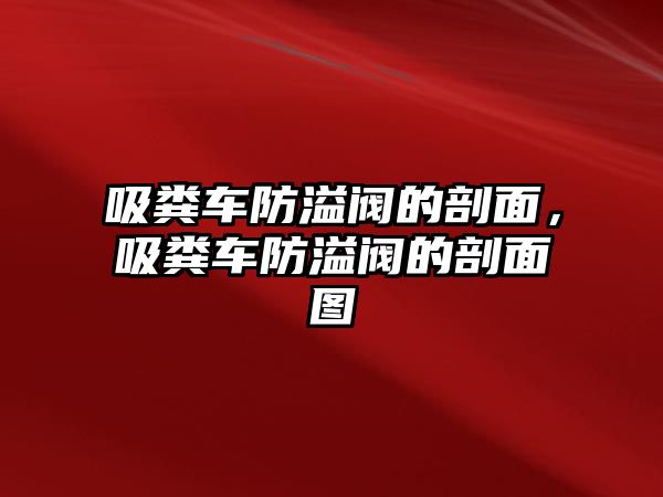 吸糞車防溢閥的剖面，吸糞車防溢閥的剖面圖