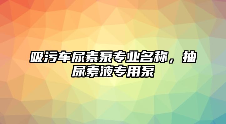 吸污車尿素泵專業名稱，抽尿素液專用泵